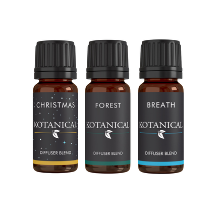 Holiday Wellness Kit