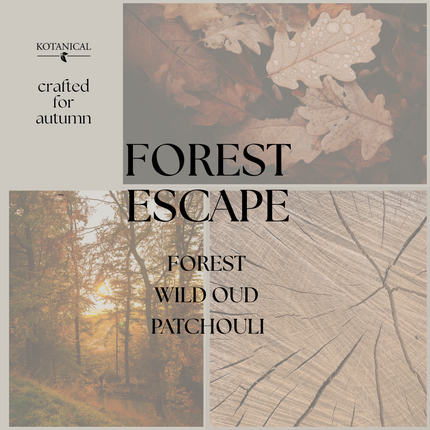 Forest Escape Bundle