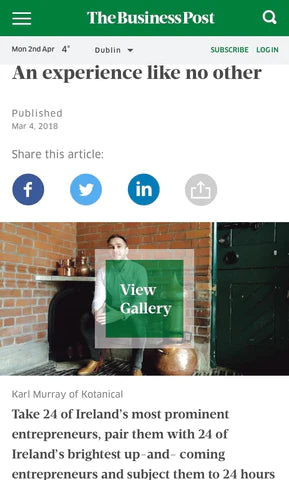 <h2>The Business Post</h2>