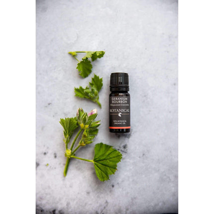 Geranium Bourbon Essential Oil essential oil kotanical 