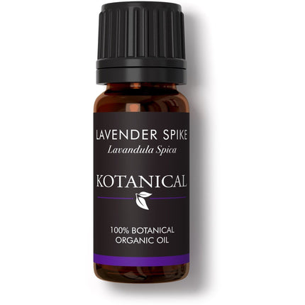 Lavender Spike Essential Oil kotanical 